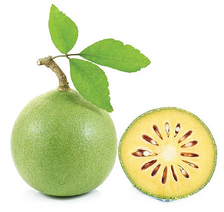 மருத்துவம்