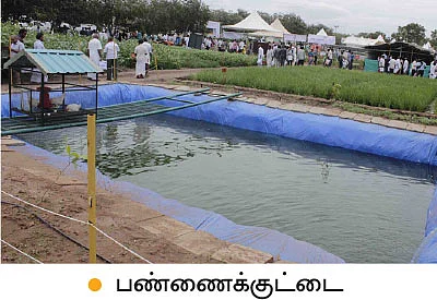 அக்ரி இன்டெக்ஸ்... மவுசு கூடிய மாடித்தோட்டம்!