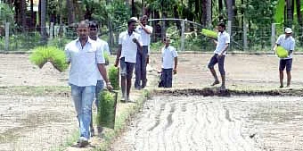 ஆட்கள் பிரச்னைக்கு அடேங்கப்பா தீர்வு...