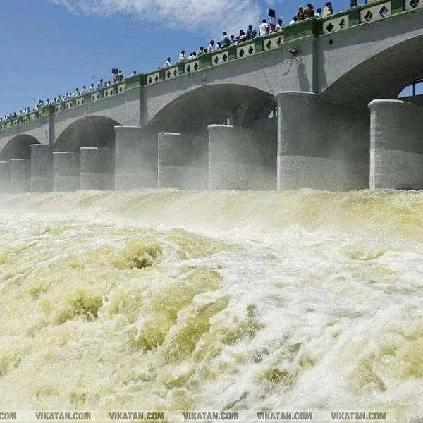 `புதர் மண்டிக்கிடக்கும் பாசனக் கால்வாய்கள்' - கடைமடைப் பகுதிக்கு வந்துசேராத காவிரி!