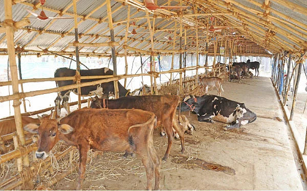 ‘‘கோசாலை அமைக்க நிதி உதவி கிடைக்குமா?’’