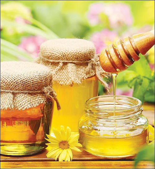தேன் நினைத்தாலே இனிக்கும் தகவல்கள்