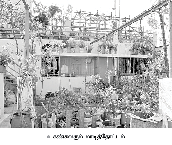 வீட்டுக்குள் விவசாயம்