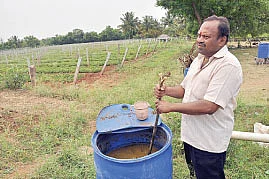 சவால் விட்ட ரசாயனம்... சாதிக்க வைத்த ஜீரோ பட்ஜெட்...