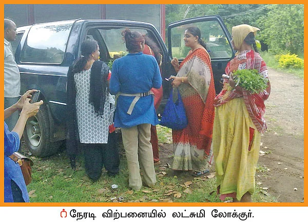 விளையும் விலையும்! - சந்தைக்கு வழிகாட்டும் தொடர் - 6