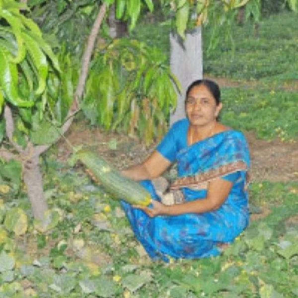 1 ஏக்கர்... 90 நாட்கள்... 70 ஆயிரம் வருமானம்... அசத்தும் பெண் விவசாயி..!