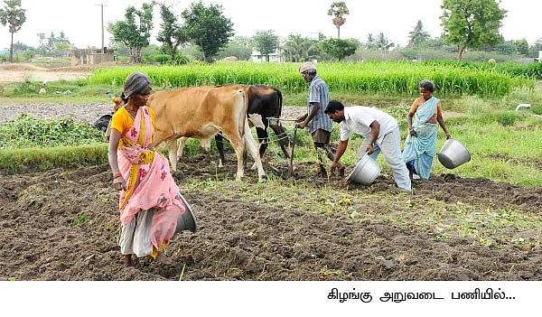 70 சென்ட்... 3 மாதம்... 46 ஆயிரம்...