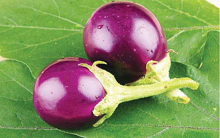 அம்மை நோய்க்கு மூலிகை மருந்து!