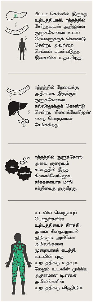 இன்சுலின் A to Z