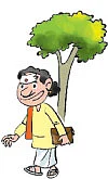 பிட்ஸ்!