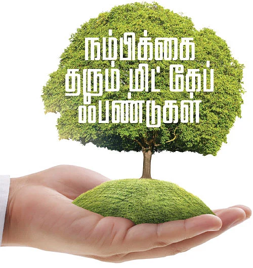 நம்பிக்கை தரும் மிட் கேப் ஃபண்டுகள்