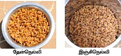 மா... நெல்லி... கொய்யா... சப்போட்டா...