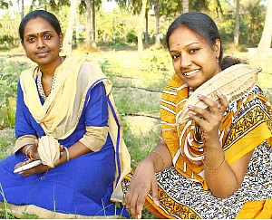 ’ஒரு நாள் விவசாயி!’