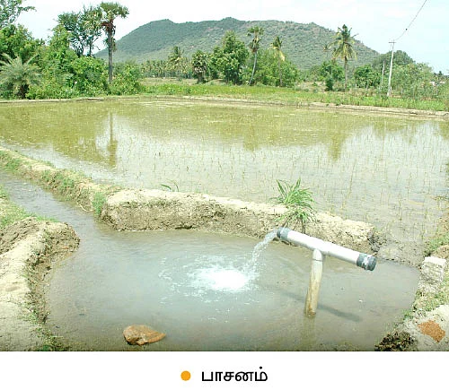 ஆடு, கோழி, மாடு, நெல், எலுமிச்சை...குடும்பத் தலைவியின் இயக்கத்தில் ஓர் ஒருங்கிணைந்த பண்ணை!