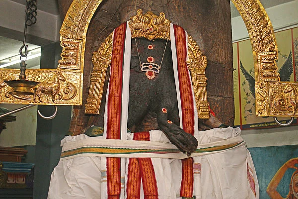 அரச மரத்தில் ஆனைமுகன் !