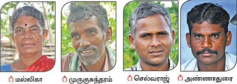 சிட்லிங்கி... இயற்கைக்குத் திரும்பிய 300 விவசாயிகளின் வெற்றிக் கதை! - 3