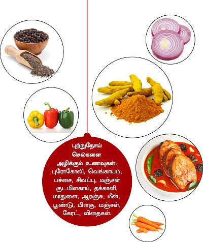 15 பாடிகாட்ஸ்! உச்சி முதல் உள்ளங்கால் வரை...
