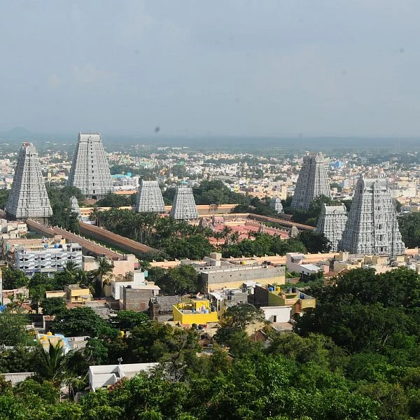 திருப்பம் `தி.மு.க'; கரன்ஸி அ.தி.மு.க; எ.வ.வேலு சீக்ரெட்! - திருவண்ணாமலையில் இலையா... சூரியனா?
