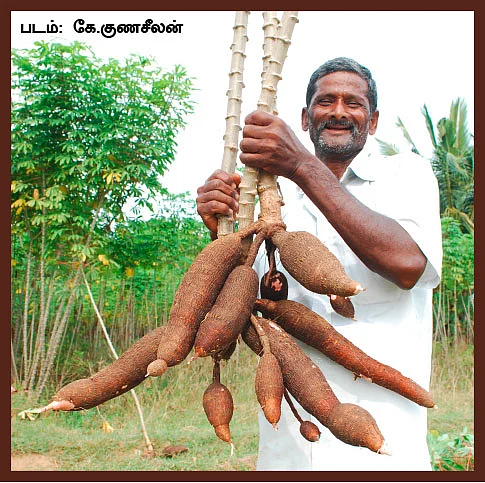 உணவு யுத்தம்!