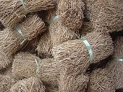 மகத்துவம் நிறைந்த மூலிகை மருத்துவம்!