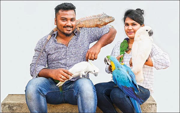 செல்லம் கொஞ்சுதே எங்கள் செல்லங்கள்!