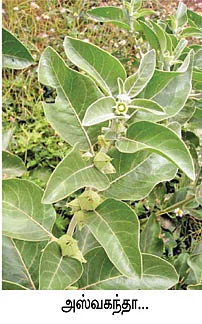 நீங்கள் கேட்டவை