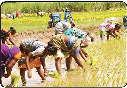பசுமை ஒலி