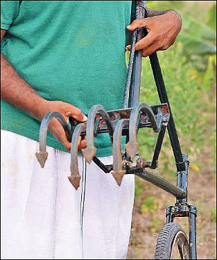 பலபயிர்ச் சாகுபடி, மதிப்புக்கூட்டல்... நம்மாழ்வார் வழியில் நடக்கும் இளைஞர்!