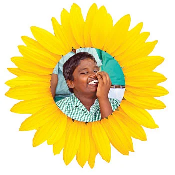 உள்ளம் கவர்ந்த ரோஜாக்கள்!
