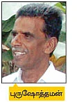 மலைக்க வைக்கும் மானாவாரி மலைவாழை...