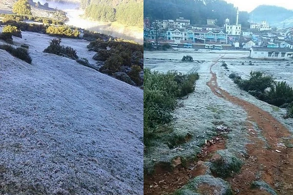கொட்டும் உறைபனி... காஷ்மீராக மாறிய ஊட்டி (படங்கள்)