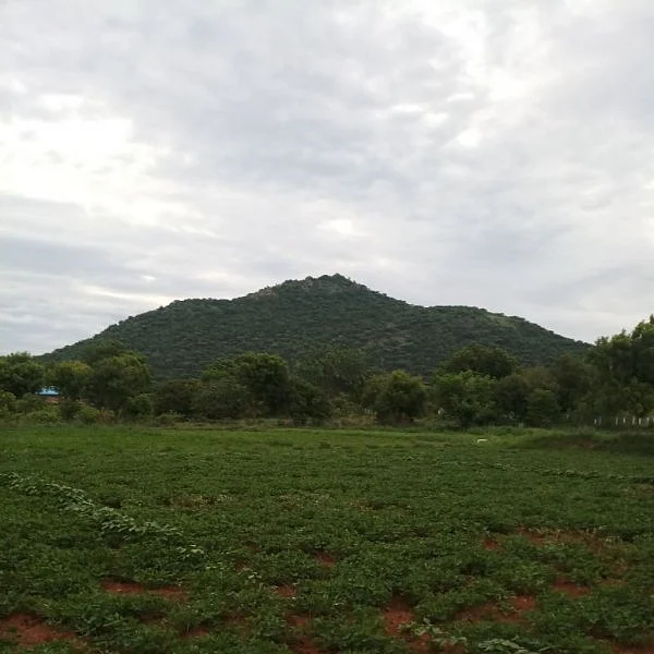 முதல்வர் வாக்குறுதியால் தப்புமா பெருமாள் மலை?