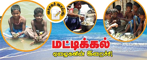 வாசகர் வாய்ஸ் - மட்டிக்கல் ஏழைகளின் இறைச்சி!