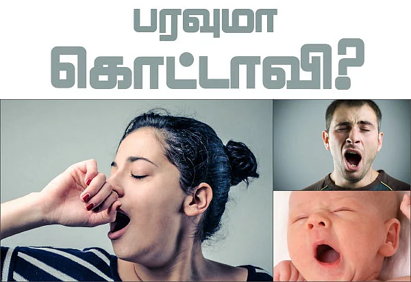 பரவுமா கொட்டாவி ?