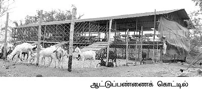 ஒப்பற்ற வருமானம் கொடுக்கும் ஒருங்கிணைந்த பண்ணையம்...