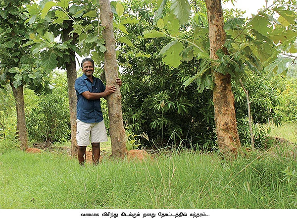 57 ஏக்கர்... 16 ஆயிரம் மரங்கள்...