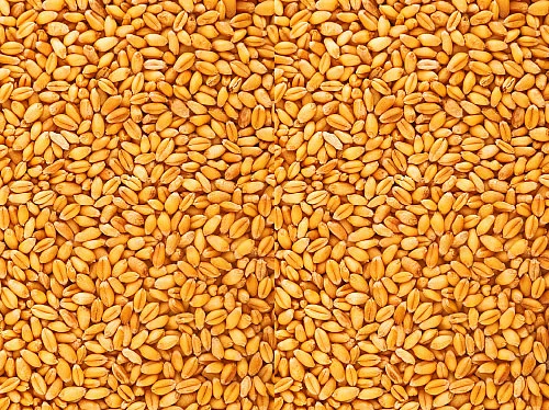 அவ்வளவும் சத்து - தானியங்கள் பருப்புகள் பலன்கள்!