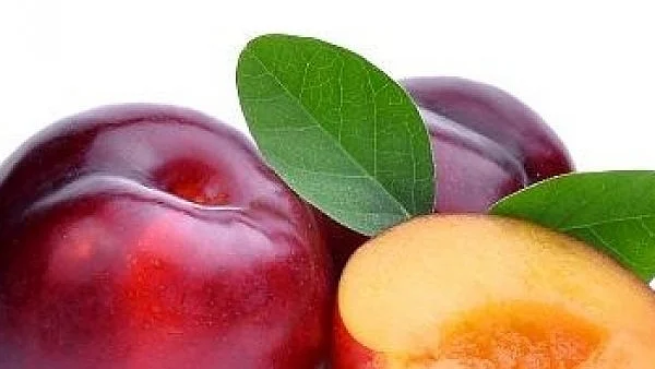 Benefits of Plums - Prevent Cancer