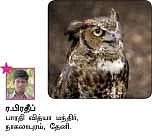 சுட்டி நியூஸ் !