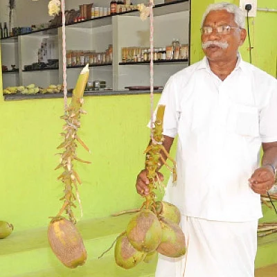 பஞ்சகவ்யா - 8