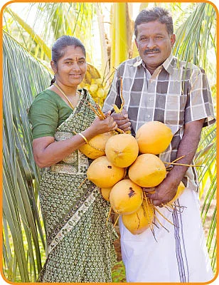 இது ஜீரோ பட்ஜெட் அசத்தல்....