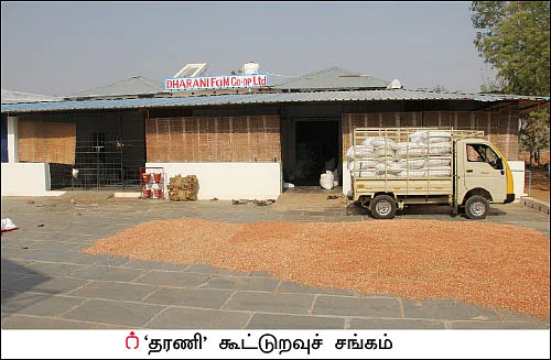 விளையும் விலையும்! - சந்தைக்கு வழிகாட்டும் தொடர் - 13