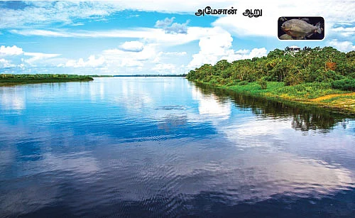 மை டியர் ஜீபா!