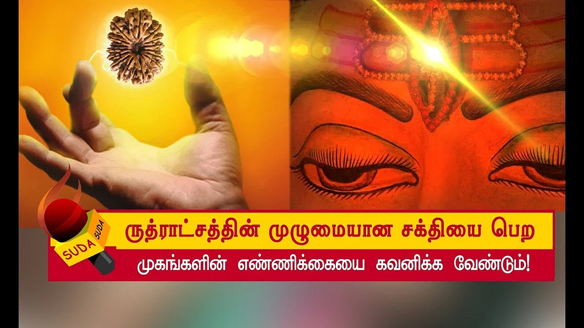 ருத்திராட்சம்