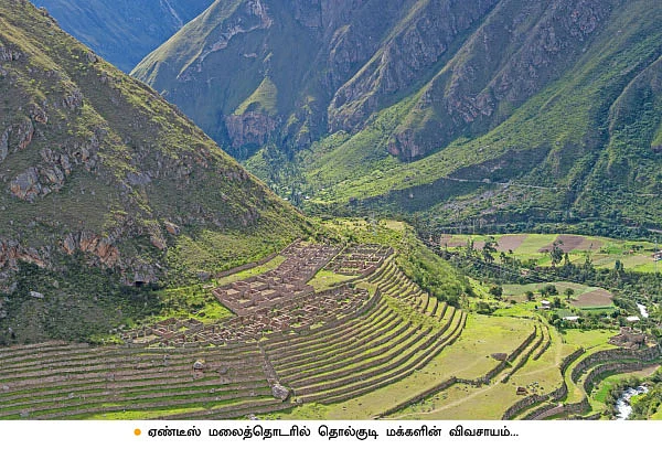 கார்ப்பரேட் கோடரி