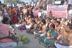 சந்ததி வளர்க்கும் தை அமாவாசை வழிபாடு!