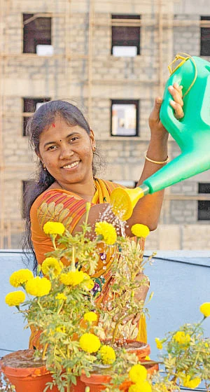 வீட்டுக்குள் விவசாயம் - 4