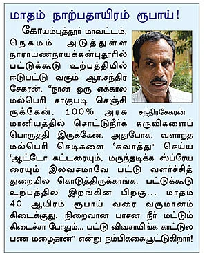 'மல்பெரி பயிரிடுங்கள்... மாத வருமானம் பெற்றிடுங்கள்!’