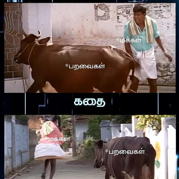 ஆகா, இது அதுல்ல! - 2.0 மீம் விமர்சனம்