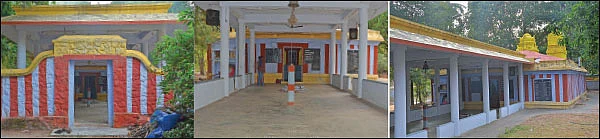 வேம்பாக மீனாட்சி... அரச மரமாக சொக்கநாதர்!